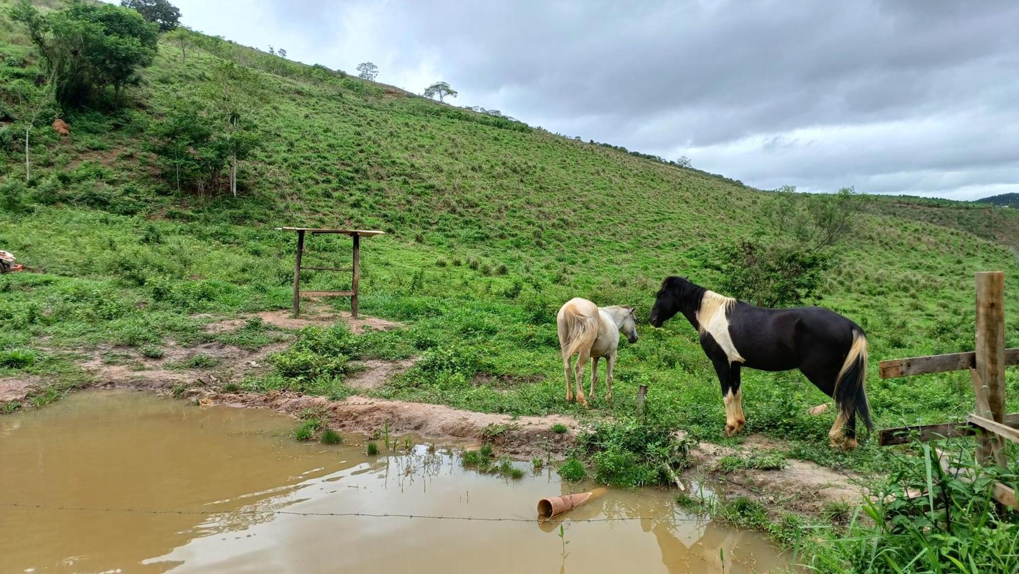Sitio Reis Membeca Paraíba do Sul Kültér fotó