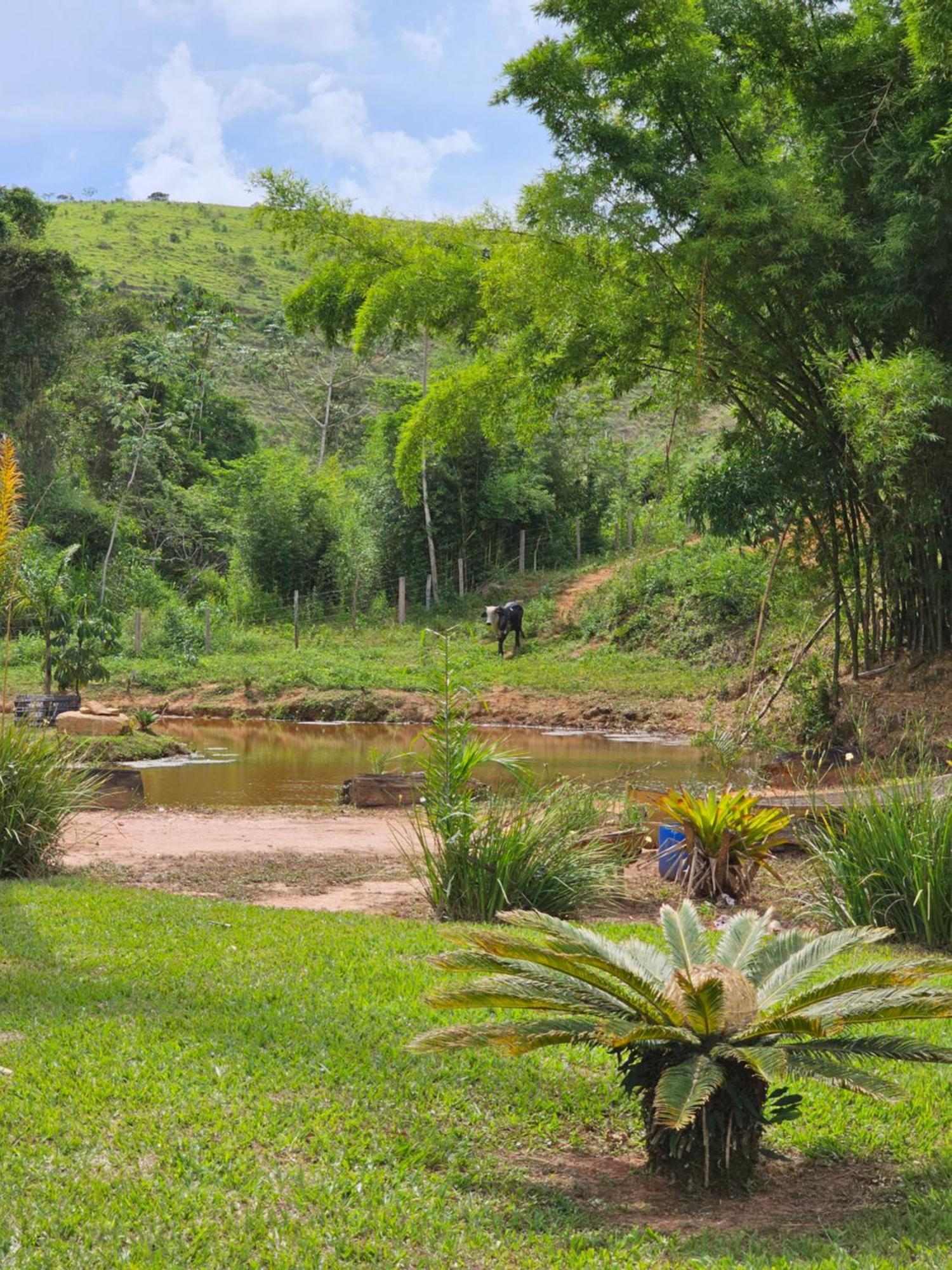 Sitio Reis Membeca Paraíba do Sul Kültér fotó