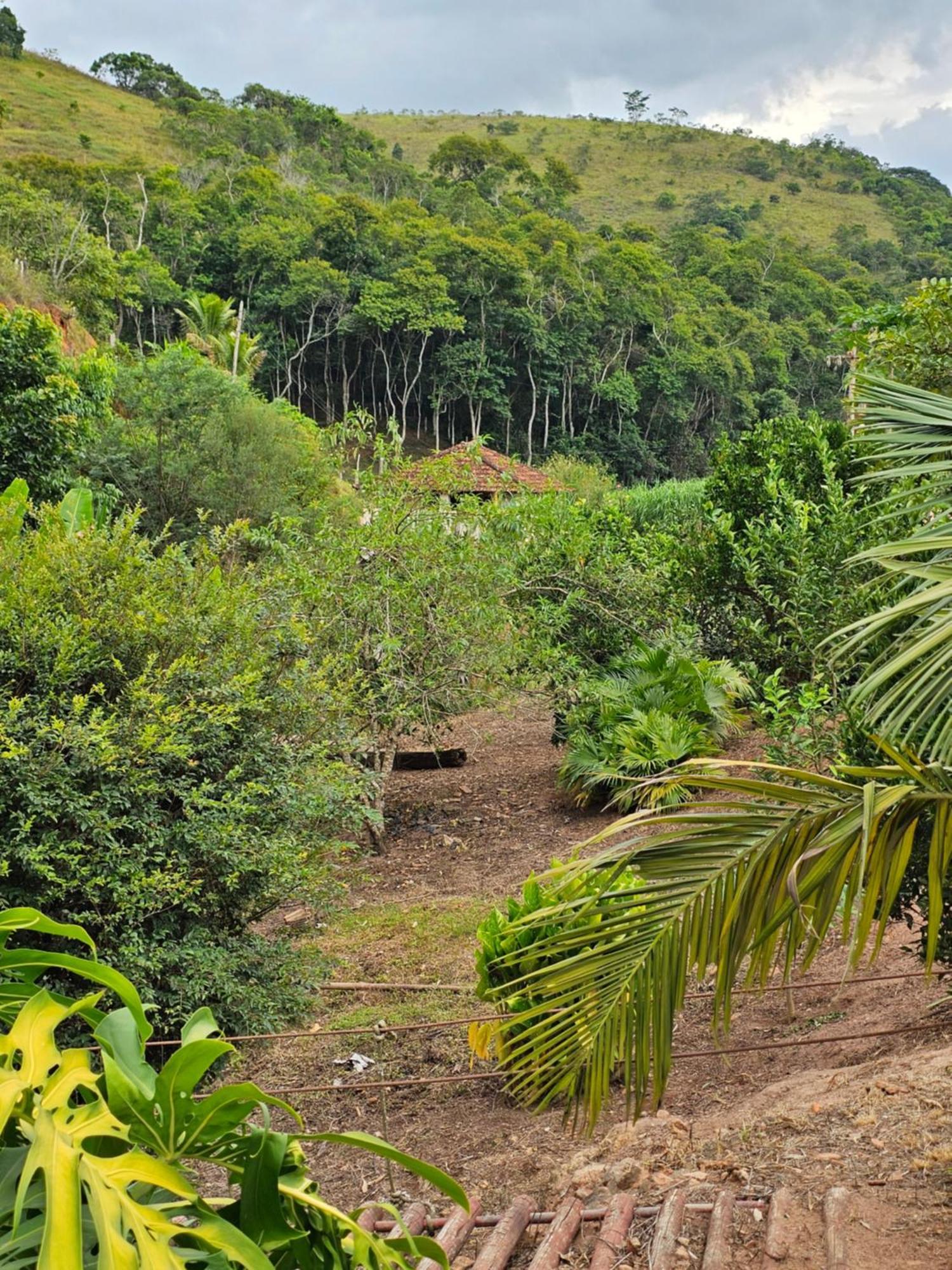 Sitio Reis Membeca Paraíba do Sul Kültér fotó