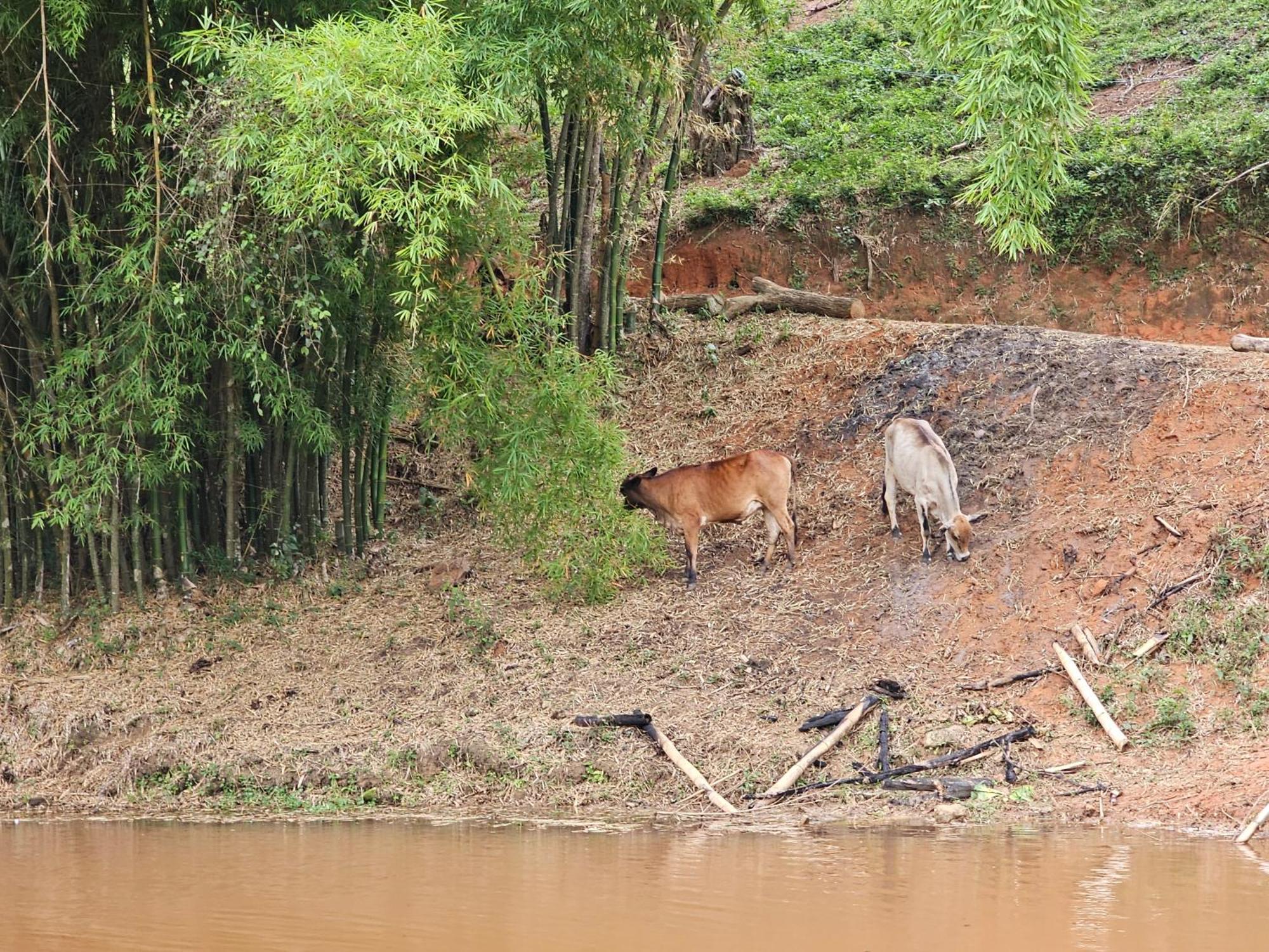 Sitio Reis Membeca Paraíba do Sul Kültér fotó